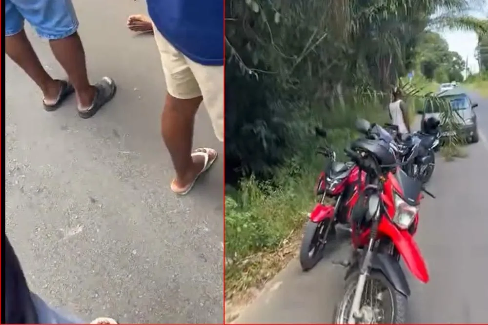 Reprodução